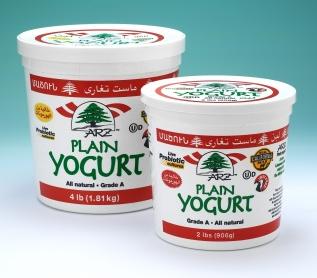 Arz Yogurt