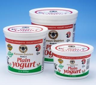 Karoun Yogurt